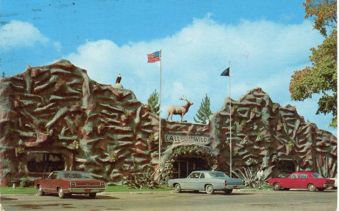 Call of the Wild - Old Postcard (newer photo)